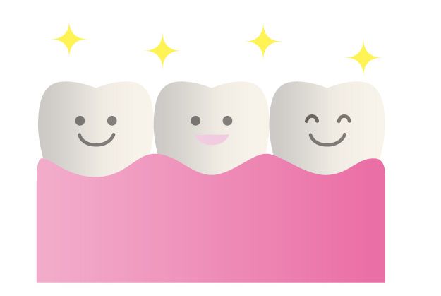 きれいな歯